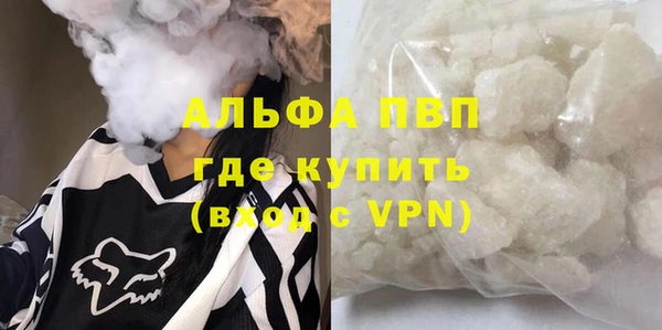 гидра Алзамай