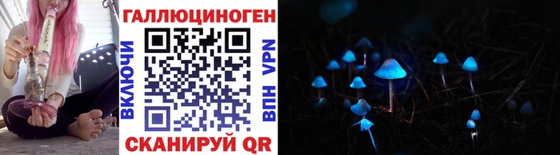 Псилоцибиновые грибы GOLDEN TEACHER  купить наркотики цена  Бабушкин 